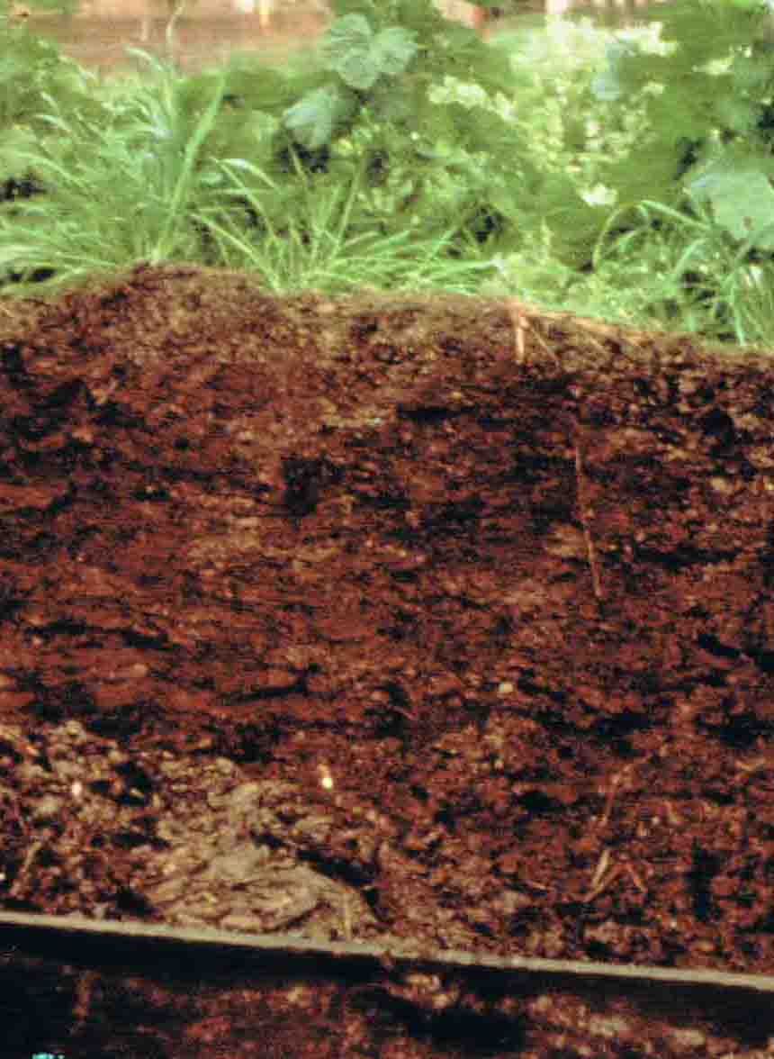 A cross section of a compost pile showing rich compost ready to harvest; A compost sifter can help remove large, undecomposed particle from your compost.